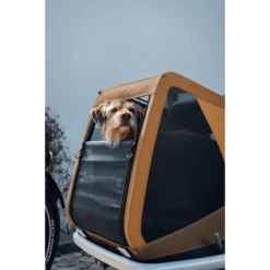 CROOZER Hondenfietskar Hond Tammo Moss Green Inclusief Hondenbed Asfalt Grijs 8 CROOZER Hondenfietskar Hond Tammo Moss Green Inclusief Hondenbed Asfalt Grijs -Winkel Voor Kinderproducten croozer hondenfietskar hond tammo moss green inclusief hondenbed asfalt grijs a410040 1