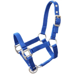 Helga Kreft Tuinpaardenset Tamme, Blauw -Winkel Voor Kinderproducten helga kreft tuinpaardenset tamme blauw a325389 4