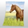 HERDING Vlies Deken Paard 2 HERDING Vlies Deken Paard -Winkel Voor Kinderproducten herding vlies deken paard a230626